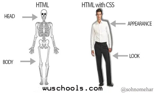 full stack developer