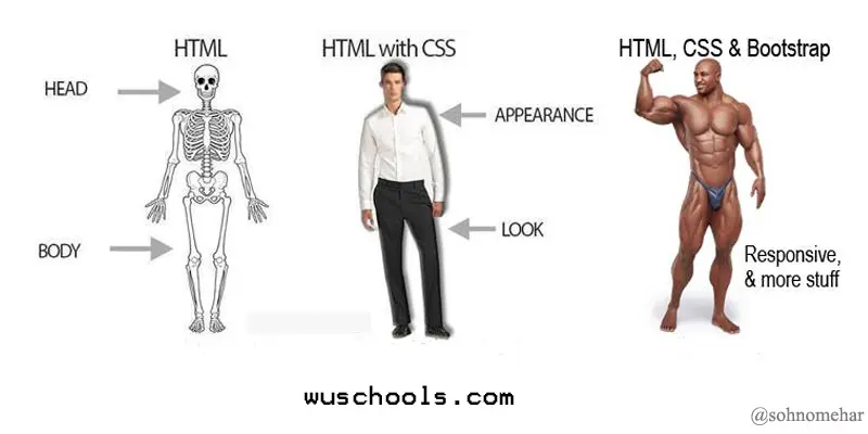 full stack developer