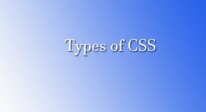 Read more about the article Types of CSS