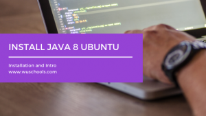 Read more about the article install java 8 ubuntu