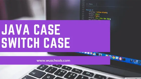 Read more about the article java case