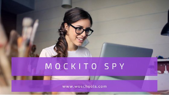 Read more about the article Mockito spy