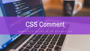 Read more about the article CSS Comment