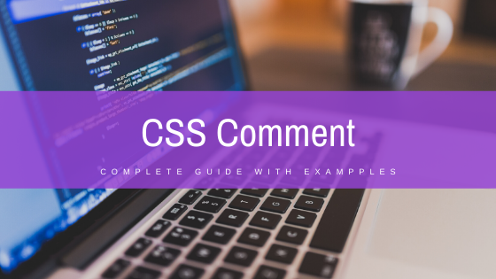 Read more about the article CSS Comment