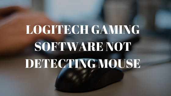 Read more about the article Logitech Gaming Software not Detecting mouse