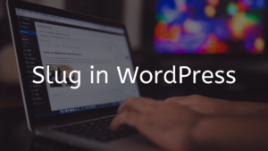 Read more about the article What is a Slug in WordPress?
