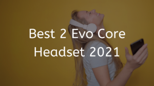 Read more about the article Best 2 Evo Core Headset 2023