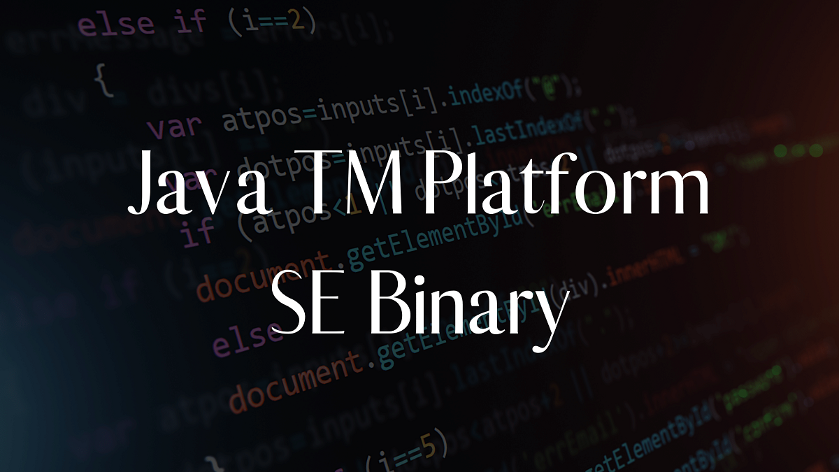Read more about the article Java TM Platform SE Binary