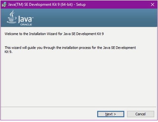 Java TM Platform SE Binary