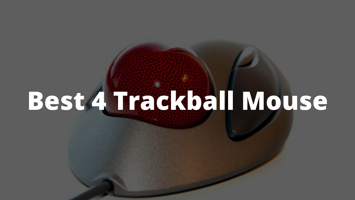 Read more about the article Best 4 Trackball Mouse 2023