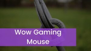 Read more about the article Best 3 WOW Gaming Mouse 2023