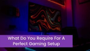 Read more about the article What Do You Require For A Perfect Gaming Setup