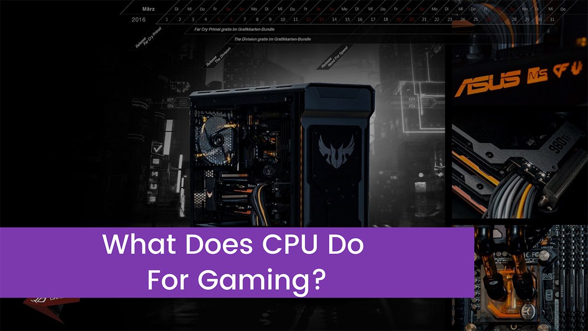 You are currently viewing What Does CPU Do For Gaming?