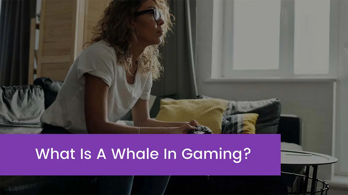 You are currently viewing What Is A Whale In Gaming?