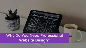 Read more about the article Why Do You Need Professional Website Design?