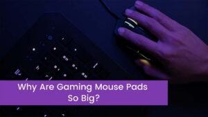 Read more about the article Why Are Gaming Mouse Pads So Big?