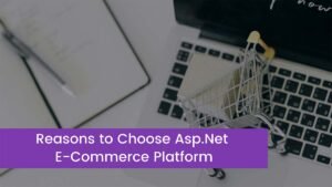 Read more about the article Reasons to Choose Asp.Net E-Commerce Platform