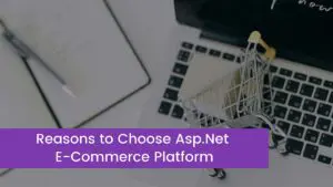 Read more about the article Reasons to Choose Asp.Net E-Commerce Platform
