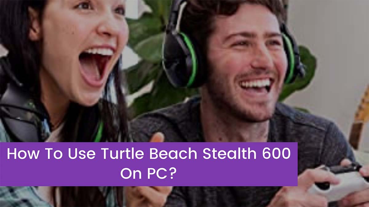 You are currently viewing How To Use Turtle Beach Stealth 600 On PC?