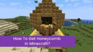 Read more about the article How To Get Honeycomb In Minecraft And Use It