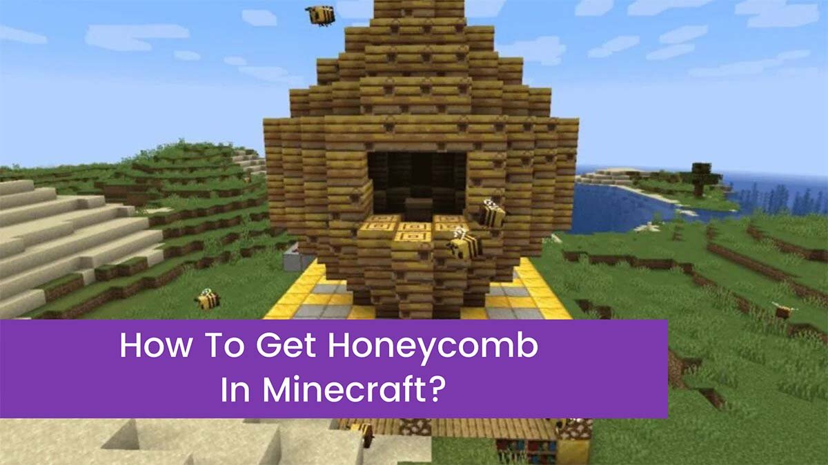You are currently viewing How To Get Honeycomb In Minecraft And Use It