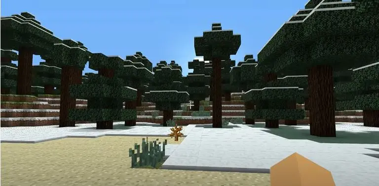 Play Minecraft 5