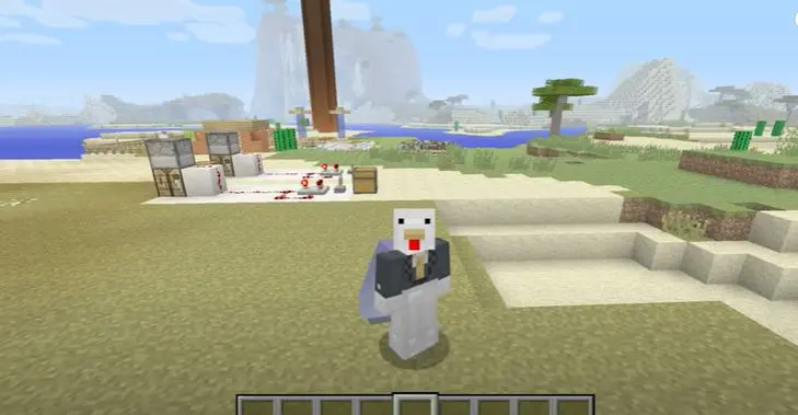 Potions In Minecraft