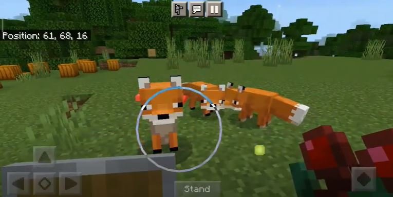 Tame A Fox In Minecraft