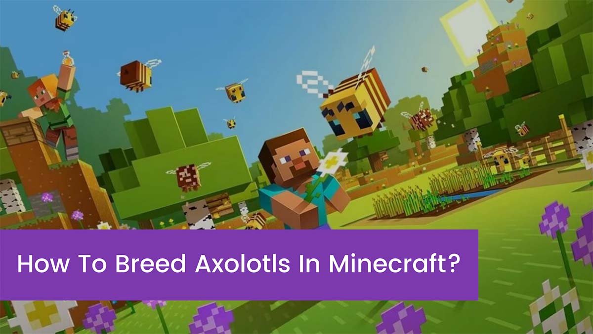 You are currently viewing How To Breed Axolotls In Minecraft?