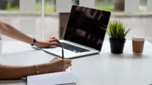 Read more about the article Tips To Choose Professionals Writer In 2023