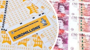 Read more about the article The Ultimate Guide to Euro Millions Syndicates