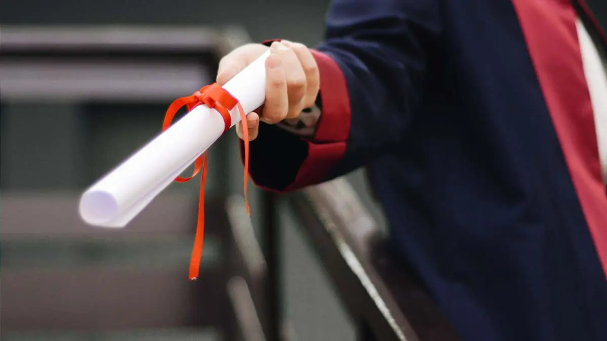 You are currently viewing 7 Compelling Reasons to Pursue an Arts Degree In 2023