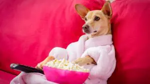 Read more about the article Why TV Changes Channels By Itself?