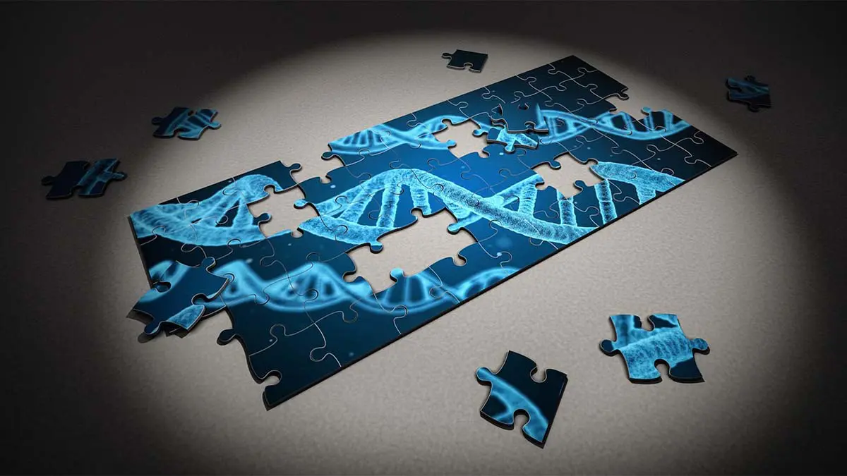Read more about the article How Big Data Is Improving Healthcare?