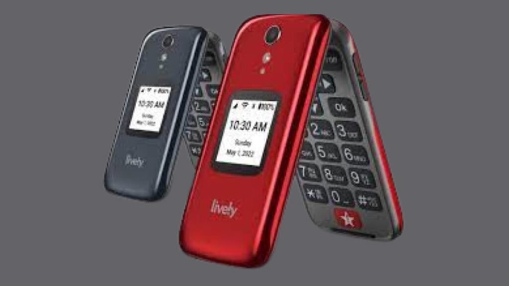 How To Delete Text Messages on a Lively Flip Phone?