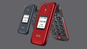 Read more about the article How To Delete Text Messages on a Lively Flip Phone?