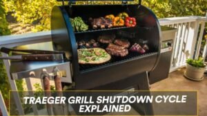 Read more about the article How to Turn off the Traeger Without a Phone?