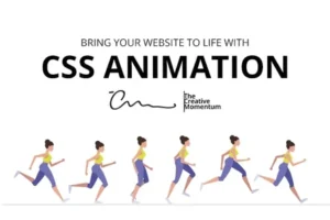 Read more about the article CSS Animations & Transitions: Make Your Website Come to Life