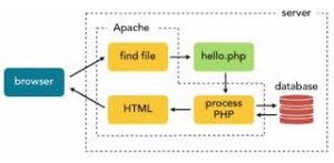 Read more about the article PHPFiddle – Test PHP Online With Serverc