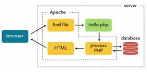 Read more about the article PHPFiddle – Test PHP Online With Serverc