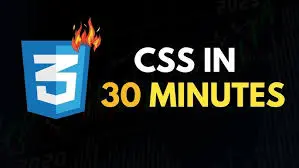 Read more about the article CSS Tutorial for Beginners: Learn CSS Step by Step in 2025